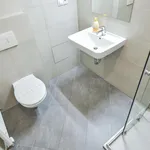 Rent 1 bedroom apartment of 50 m² in Prague