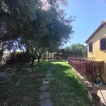 Affittasi Villa, Marino Via Capo D'Acqua Villino con giardino - Annunci Marino (Roma) - Rif.581584