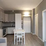 Rent 1 bedroom apartment in milan