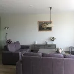 Rent 3 bedroom apartment of 125 m² in Markgouw