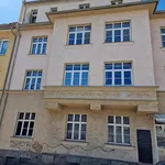 Rent 1 bedroom apartment of 100 m² in Plauen