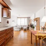 Rent 2 bedroom apartment of 56 m² in Praha