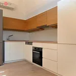 Pronajměte si 1 ložnic/e byt o rozloze 76 m² v Praha 1