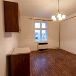 Rent 1 bedroom apartment in Praha 2