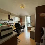 Rent 1 bedroom apartment of 50 m² in torino