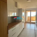 Rent 3 bedroom apartment of 77 m² in Frýdek-Místek