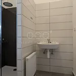 Rent 1 bedroom apartment of 29 m² in Hodkovice nad Mohelkou