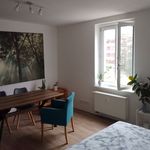 Miete 1 Schlafzimmer wohnung von 33 m² in Dresden