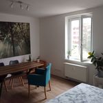 Rent 1 bedroom apartment of 33 m² in Dresden