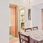 Rent 4 bedroom apartment in Rome