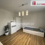 Rent 1 bedroom apartment of 25 m² in Velké Bílovice