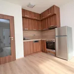 Pronajměte si 2 ložnic/e byt o rozloze 48 m² v Prague