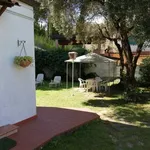 Rent 3 bedroom apartment of 70 m² in Ameglia