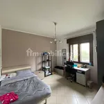 Rent 5 bedroom apartment of 110 m² in Catanzaro