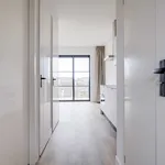 Rent 1 bedroom apartment of 37 m² in Utrecht