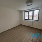 Rent 2 bedroom apartment of 48 m² in Ostrava