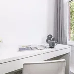 Rent 1 bedroom flat in Preston