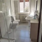 Rent 4 bedroom apartment of 100 m² in Pavia