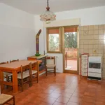 Rent 3 bedroom apartment of 124 m² in Altofonte