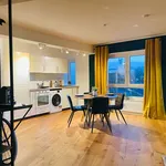 Rent 1 bedroom apartment of 57 m² in Essen