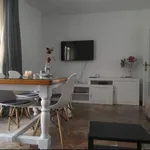 Rent 1 bedroom apartment in Malaga