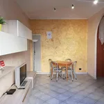 Rent 1 bedroom apartment in Turin