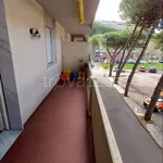 Affitto 2 camera appartamento di 45 m² in Carrara