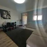 Rent 3 bedroom apartment of 2 m² in Nojorid