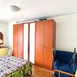 Rent 1 bedroom apartment in Rovereto