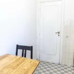 Rent 1 bedroom apartment of 59 m² in rome