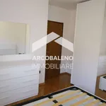 Rent 3 bedroom apartment of 75 m² in Trento