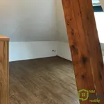 Rent 2 bedroom apartment in Plzeň-sever