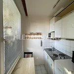 Rent 1 bedroom apartment of 33 m² in Capital City of Prague