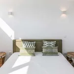 Rent 1 bedroom apartment in porto