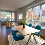 Rent 1 bedroom apartment in Williamsburg