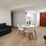 Rent 3 bedroom apartment in zaragoza