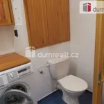 Rent 2 bedroom apartment of 48 m² in Zlín