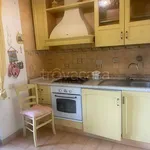 Rent 5 bedroom apartment of 130 m² in Anzio