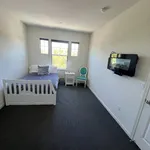 Rent 1 bedroom apartment in Cotati