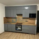 Pronájem bytu 1+kk 35m²