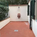 Rent 2 bedroom apartment of 110 m² in florence