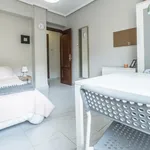 Rent 5 bedroom apartment in Valencia