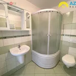 Rent 1 bedroom apartment of 27 m² in Přerov