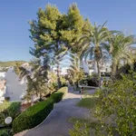 Rent 5 bedroom house in Ibiza