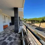 Rent 2 bedroom apartment of 58 m² in Roma