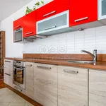 Rent 3 bedroom apartment of 82 m² in Capital City of Prague