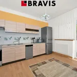 Rent 1 bedroom house of 408 m² in Brno