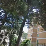 Rent 1 bedroom apartment of 20 m² in Rome