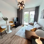 Rent 2 bedroom apartment of 39 m² in Katowice