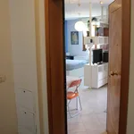 Rent 1 bedroom apartment of 32 m² in Firenze